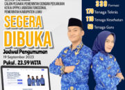 Minat Jadi PPPK?, BKPSDM Luwu Buka Seleksi untuk 339 formasi, Ini Caranya….