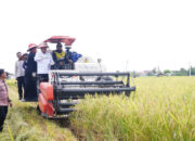 Panen Padi Ujicoba Varietas Cakrabuana, Basmin: Semoga Bisa Meningkatkan Income Perkapita Para Petani