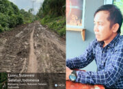 Jeritan Warga Desa Wara Kamanre Pasca Banjir, Jalan Berkubang Lumpur, Ratusan Hektar Sawah Gagal Panen