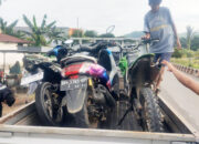 Sergap dan Beri Sanksi Para Pelaku Bali, Pimpinan TNO Apresiasi Polres Luwu