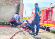 Dari Tangkap Ular hingga Cincin Tersangkut, Ini Ragam Aksi Penyelamatan Damkar Luwu